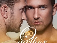 Capa O melhor Amigo do Noivo Romance Gay Amazon Kindle Ilimitado